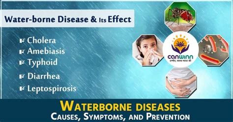 Waterborne Diseases: Causes, Symptoms, and Prevention - CanWinn Foundation