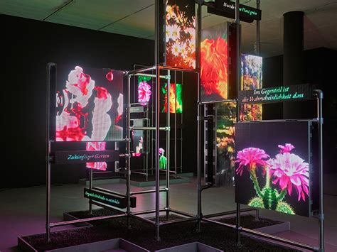kunstsammlung nrw startseite