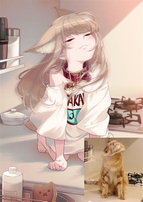 Safebooru 1girl 40hara 3 All Fours Animal Collar Animal Ear Fluff