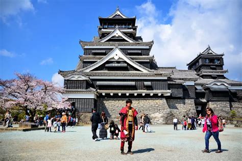 Blades and Petals: The Beautiful Thread of Sakura and Samurai - Sakuraco