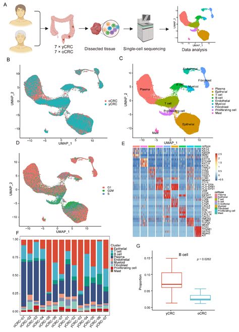 Biomolecules Free Full Text Single Cell Rna Sequencing Reveals