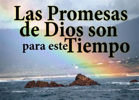 Las Promesas De Dios El Versículo Del Día