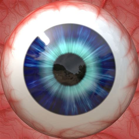 Eyeball Render Free Stock Photo - Public Domain Pictures