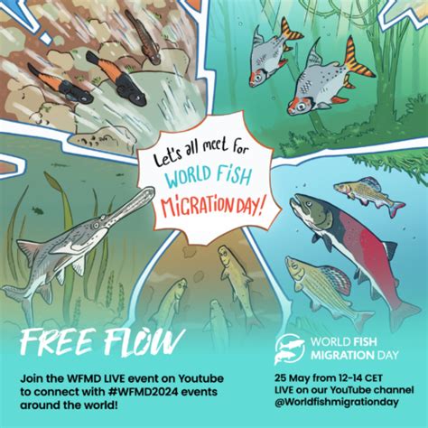 Celebrate World Fish Migration Day With Us World Fish Migration Day