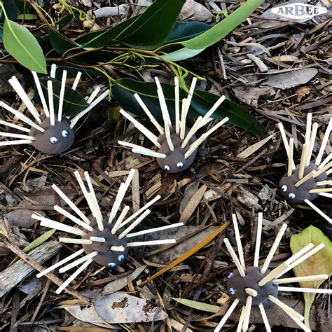 Naidoc Week Project Echidna Toddler Crafts Craft Online Quilling