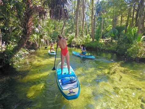 The 10 Best Places To Paddle Board In Florida Artofit