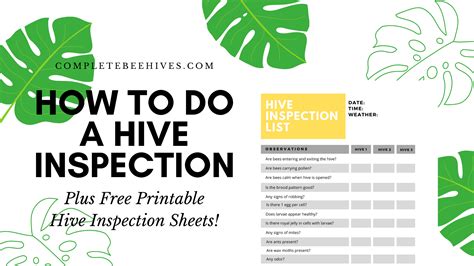 How To Do A Hive Inspection Free Printable Hive Inspection Sheets