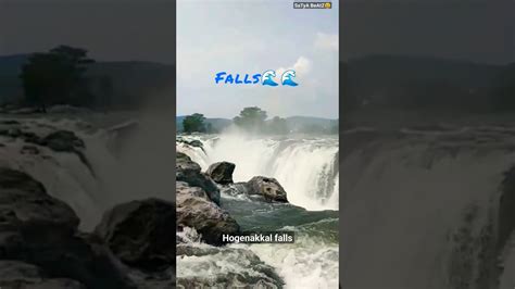 One Day Trip Bangalore To Hogenakkal Falls Waterfall Hogenakkal Falls