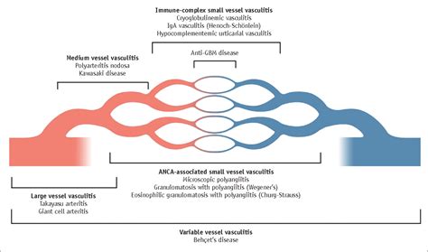 Pdf Ct Features Of Vasculitides Based On The 2012 International