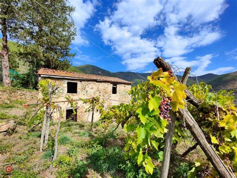 Case Con Giardino Privato Da Ristrutturare In Vendita A Calci Casa It