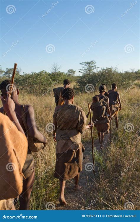 Bushmen San Mother In Botswana Editorial Photo Image Of Hunt Africa