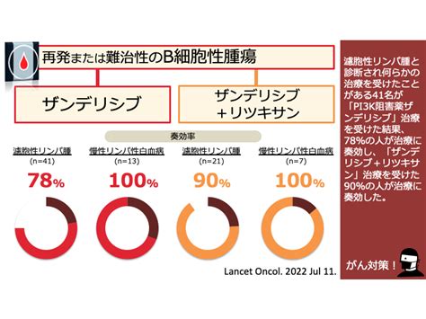 【2022年版】濾胞性リンパ腫で期待される新薬 がんゲノム医療・免疫治療 銀座みやこクリニック院長ブログ