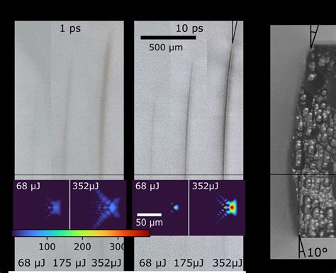 Light Microscopy Cross Sections Of Permanent In Volume Modifications In