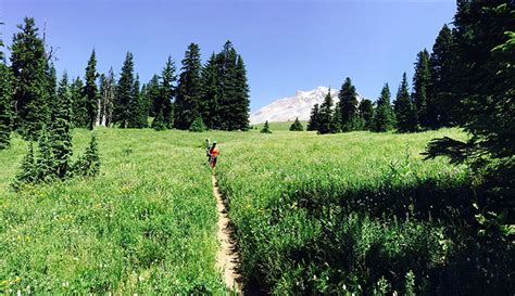 The Timberline Trail – Hiking Around Mt. Hood – Mountain Lovely