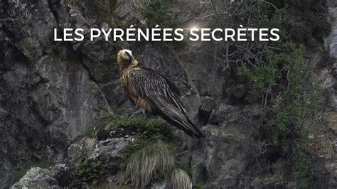 Les Pyrénées secrètes Documentaire où regarder TV Replay Streaming