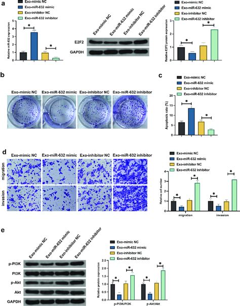 Bmscs Exo Exerts An Influence On The Malignant Behavior Of Nsclc Via Download Scientific