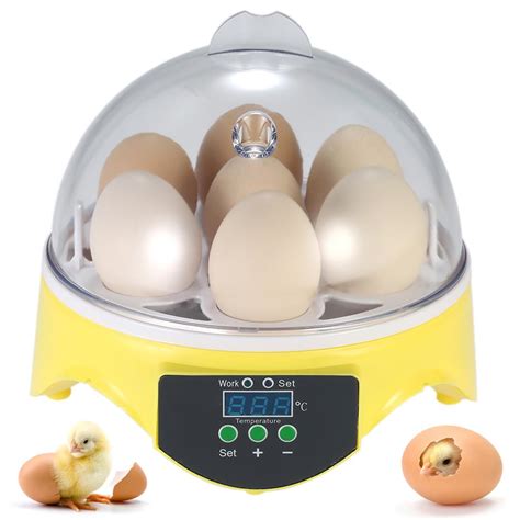 Buy Vition Eggs Mini Digital Egg Incubator Hatcher Transparent Eggs