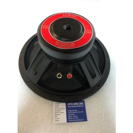 Jual Speaker Audax 12 Inch AX 12330 M8 Full Range AX12330 Shopee