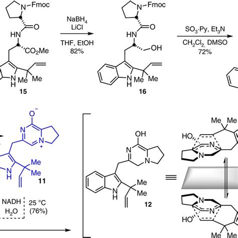 Biomimetic Synthesis Of Premalbrancheamide The Biomimetic Synthesis