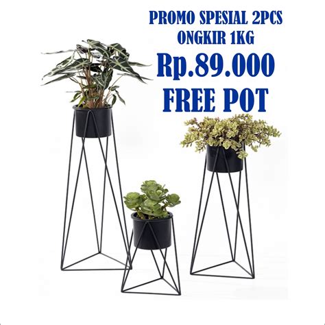 Jual Paket Hemat Standing Vas Segitiga 1kg Isi 2pcs Standing Pot