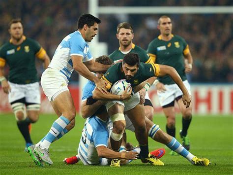 Mundial De Rugby Inglaterra Springboks Vencen A Los Pumas Y Se