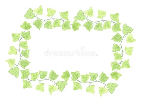 Watercolor Ivy Border Stock Illustrations 286 Watercolor Ivy Border