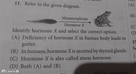 Refer To The Given Diagram Identify Hormone X And Select The Correct Opt