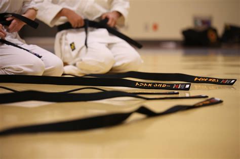 Kurs Trenera Karate Kl Ii Akademio Online