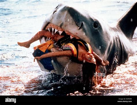 Jaws aka Der weiße Hai USA 1974 Regie Steven Spielberg Szenenfoto