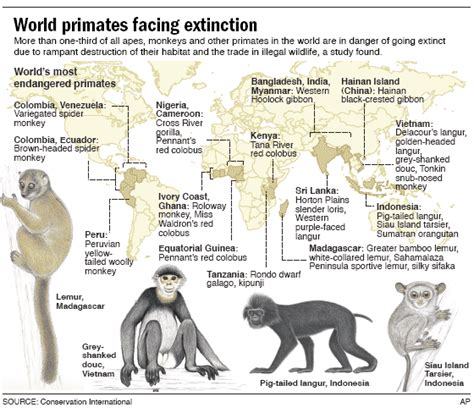 Species New to Science: Primates in Peril: The World's 25 Most Endangered Primates, 2004–2006