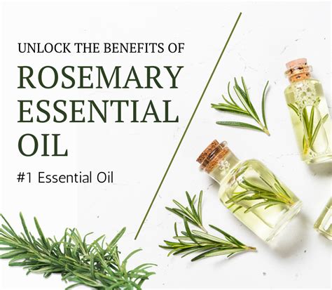 Unlock The Benefits Of Rosemary Essential Oil Aldrome Fragrance