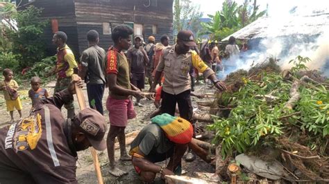 Binmas Noken Bantu Pesta Adat Bakar Batu Di Intan Jaya Ipda Engel