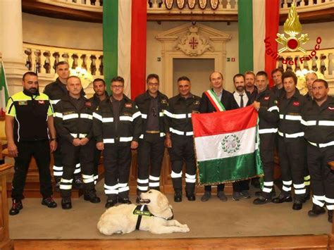 Morto Cartier Cane Eroe Dei Vigili Del Fuoco Di Reggio Emilia