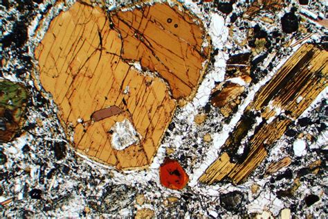 Amphibole Thin Section Xpl