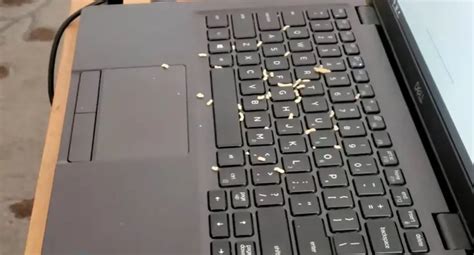 How To Clean Greasy Keyboard Laptop [Step -By Step Guide]