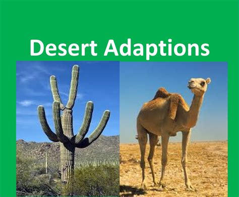 Forms 4 2017 Adaptation