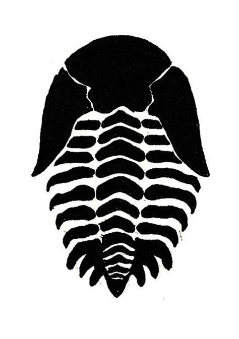 Trilobite Design by ewhauber on DeviantArt