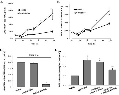 Angptl Dependent Lipe Expression In C C Myocytes A And B