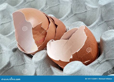 Broken Egg Shells In An Egg Box Stock Image Image Of Meal Shells