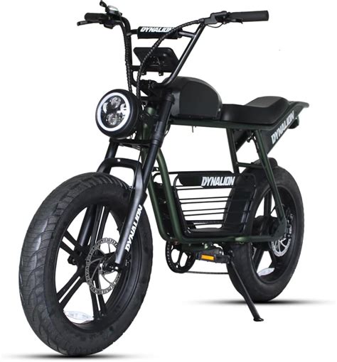 Amazon Dynalion 1000W Electric Bike For Adults 20 Inch 48V 16AH