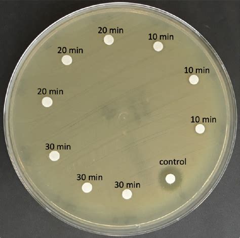 Scielo Brasil Evaluation Of Antimicrobial Sensitivity To