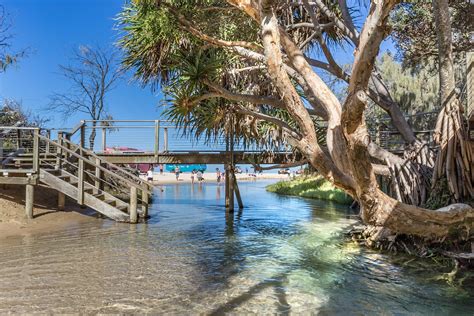 Eli Creek Fraser Island Qld Travel