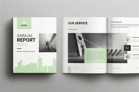 Annual Report Inside Pages