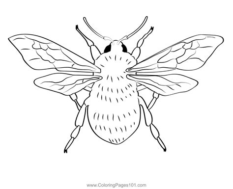 Free Bumble Coloring Pages