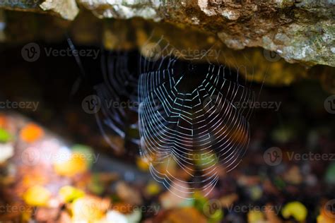 Spider web before a cave in the rock 14377656 Stock Photo at Vecteezy