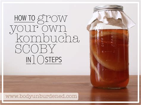 How To Grow Your Own Kombucha Scoby Kombucha Scoby How To Brew