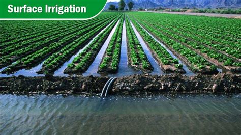 What Is Irrigation System Different Types And Methods Of Irrigation 2023