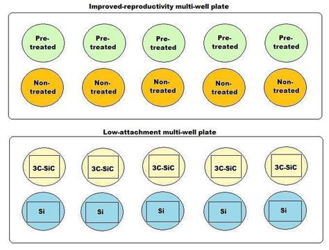 3 Schematic Representation Of Sample Position For Cell Plating