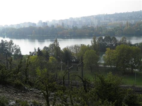 Lac Kir Dijon Ce Qu Il Faut Savoir Pour Votre Visite Tripadvisor