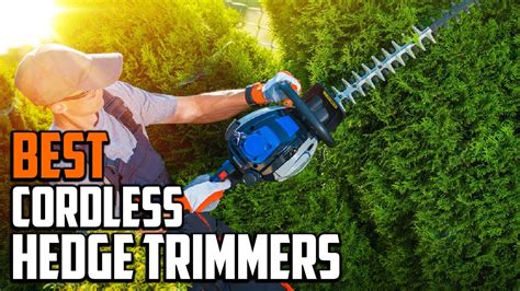 Best Cordless Hedge Trimmers In 2024 Top 10 Picks Youtube